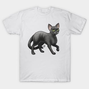 Cat - Devon Rex - Black T-Shirt